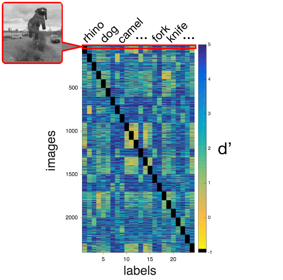Image-level confusion matrix during object recognition task Image-level confusion matrix during object recognition task