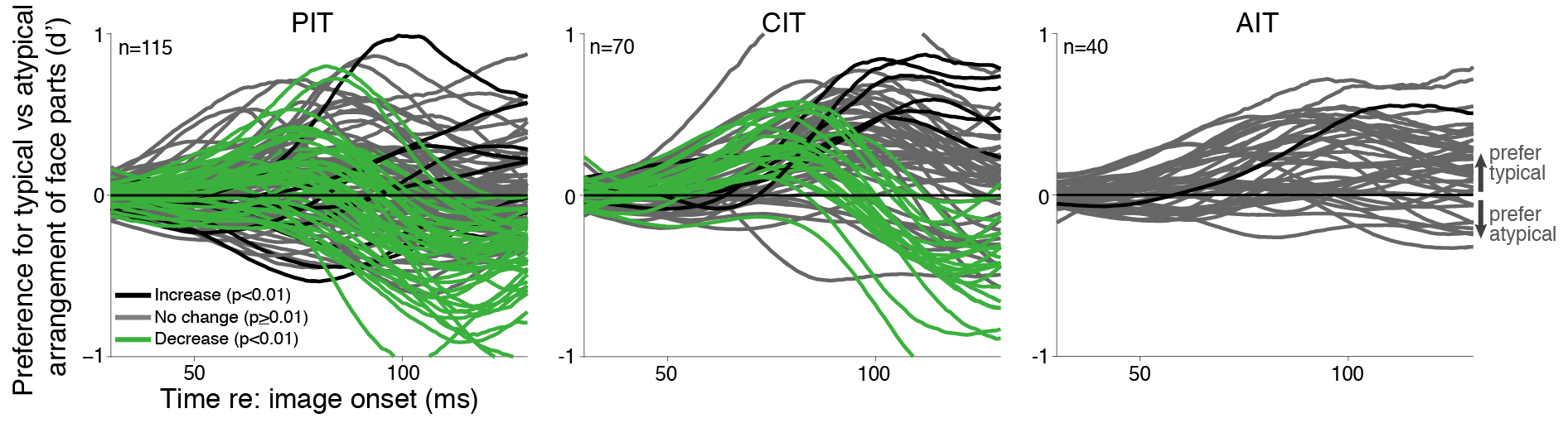 Neural dynamics in inferior temporal cortex