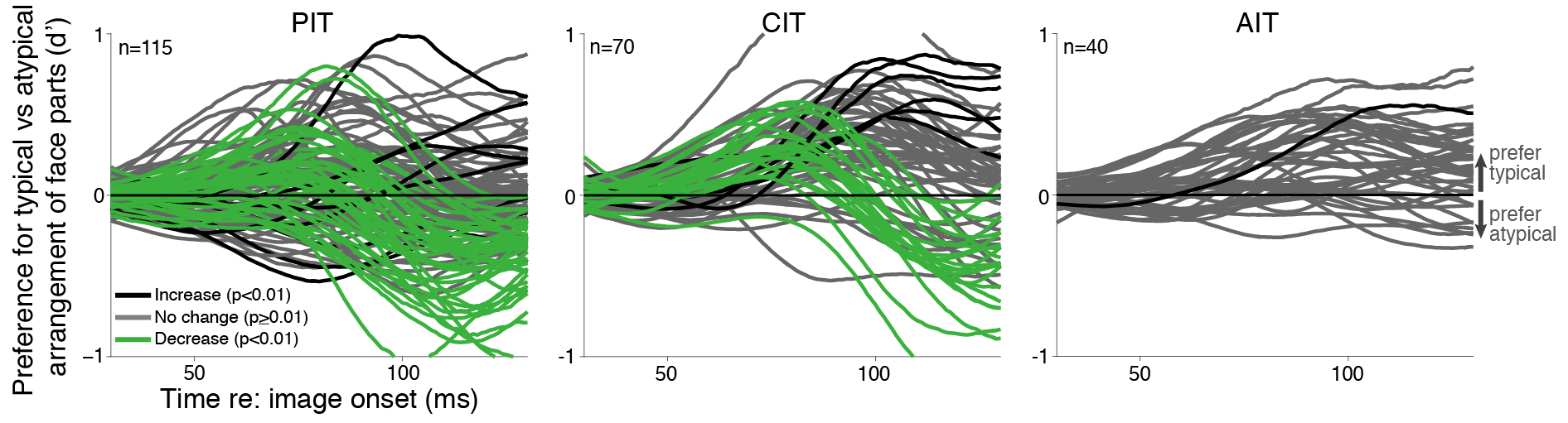Neural dynamics in inferior temporal cortex Neural dynamics in inferior temporal cortex